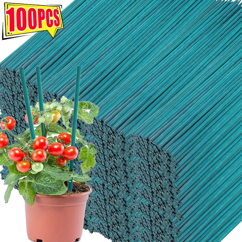 

Plant Support Sticks Canes Bamboo Plants Stakes Potted Plants Tomato Sticks Supports Flower Sticks Climbing Plant Garden Tools