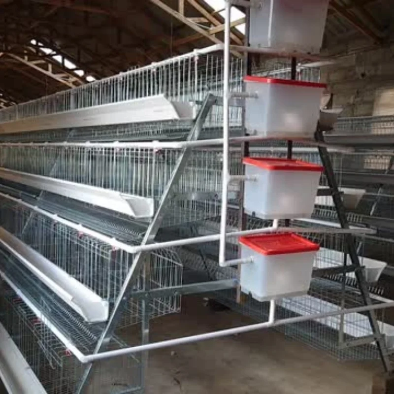 Offre spéciale un Type de Cage à poulet à batterie bon marché fil galvanisé 3/4 niveaux couches Cages à poulet vente dans la ferme avicole du Zimbabwe