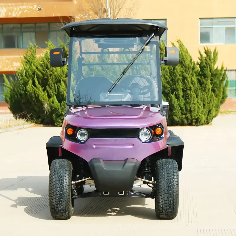 Street Legal Club Car 2 4 6 8 Seats Off Road Golf Cart With Curtis Controller Electric Golf Car Electric golf Scooter