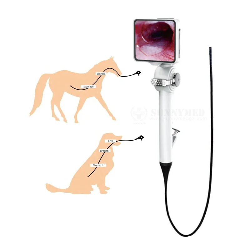 

SY-P029-1 vet clinic portable video gastroscope gastroscopio for vets