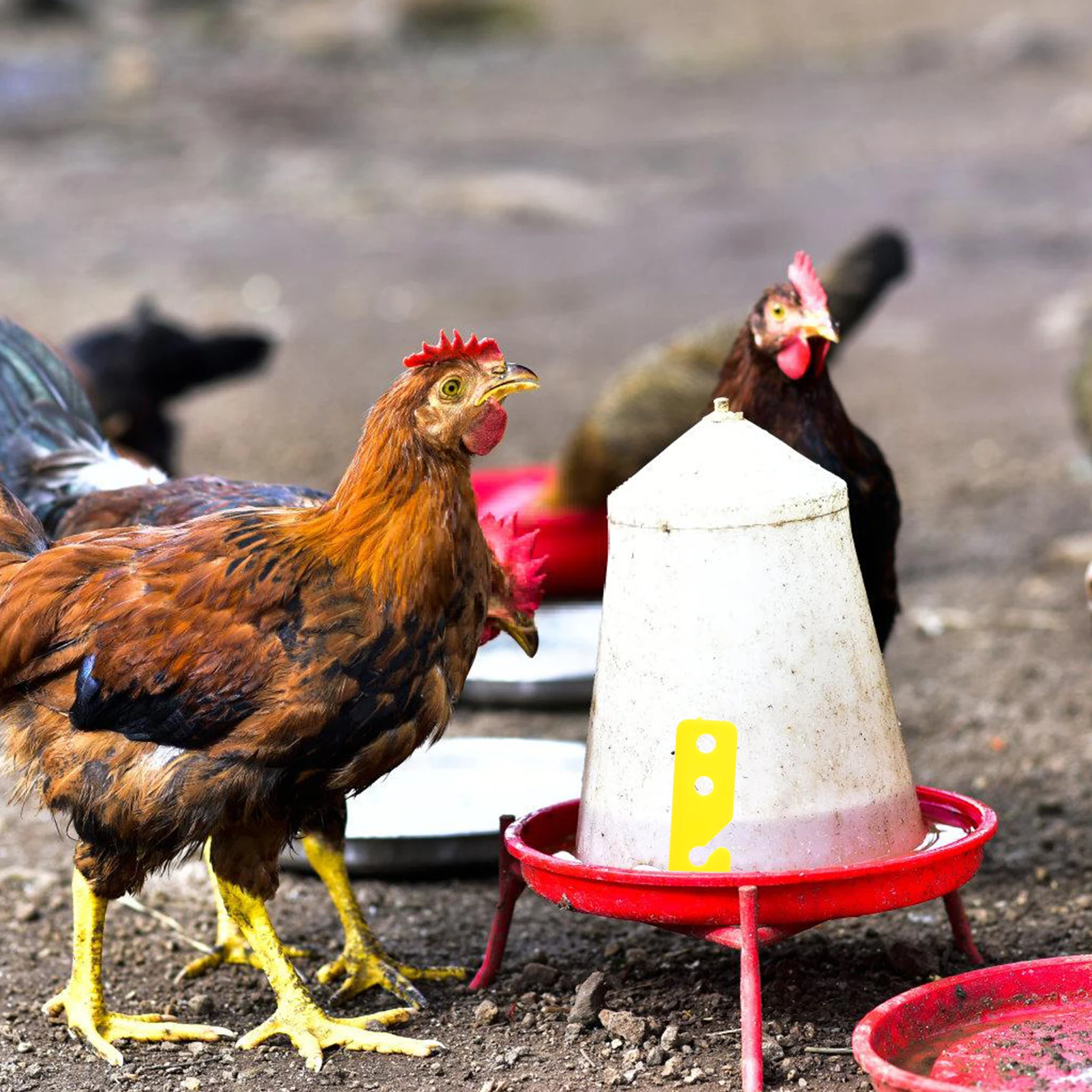 

50 Pcs Automatic Drinking Fountain Adjustment Board Chicken Pp Waterer System