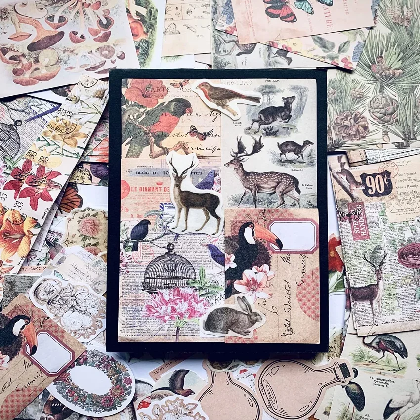 Vintage Stickers For Journaling Aesthetic - 200pcs Nature Ephemera Junk Journal Supplies Kit Decopodge Paper Scrapbooking view 3