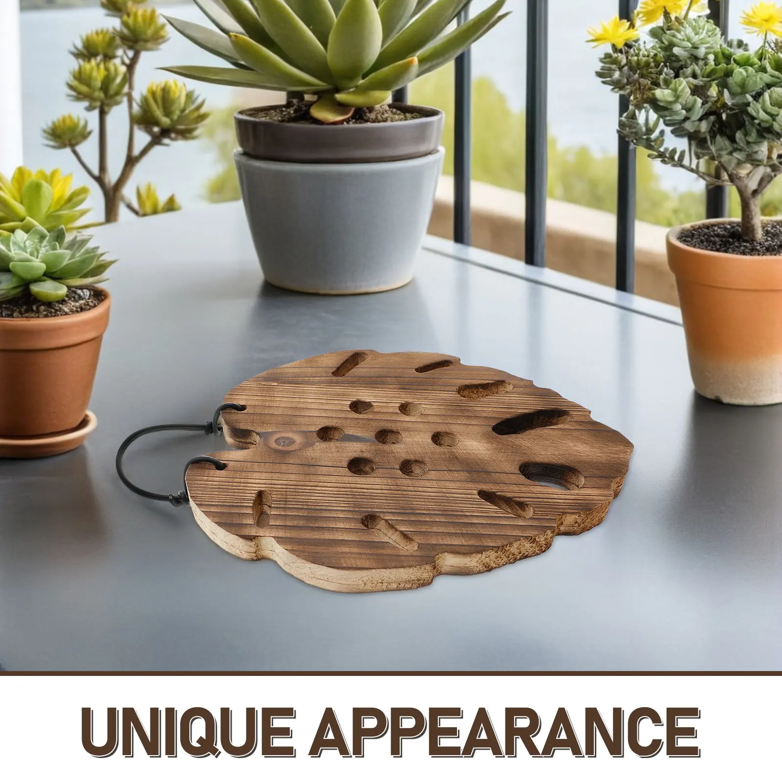 Hexagonal Fern Mounting Board Wooden Plant Wall Mount Stable Backing Garden Planter Decorative Hanging Plant Display