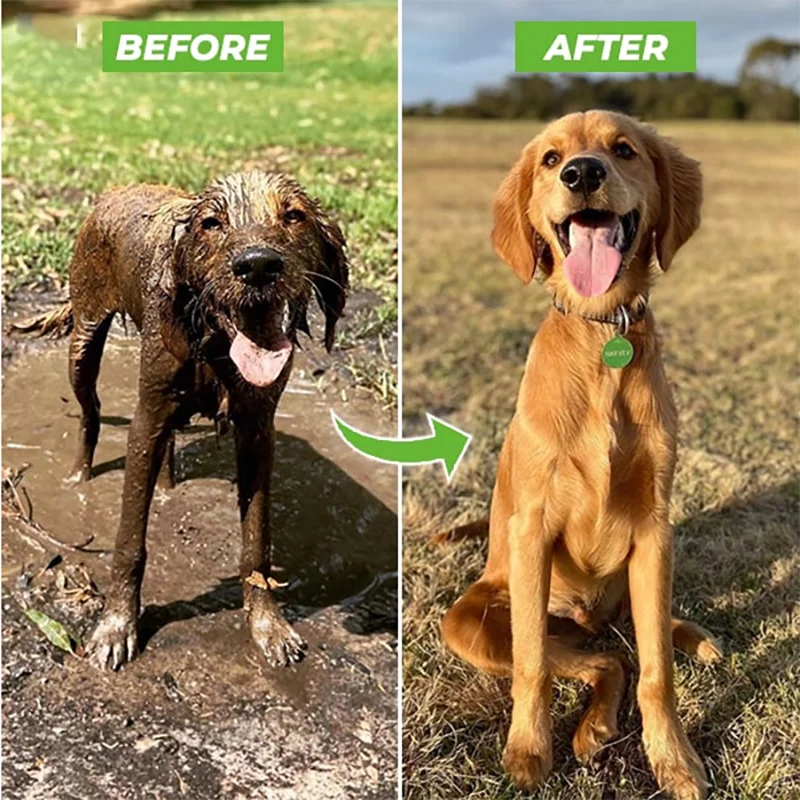 Yüksek basınçlı püskürtme memesi hortum köpek duş tabancası 3 modu ayarlanabilir Pet yıkama temizleme banyo su köpük sabun püskürtücü köpek temiz