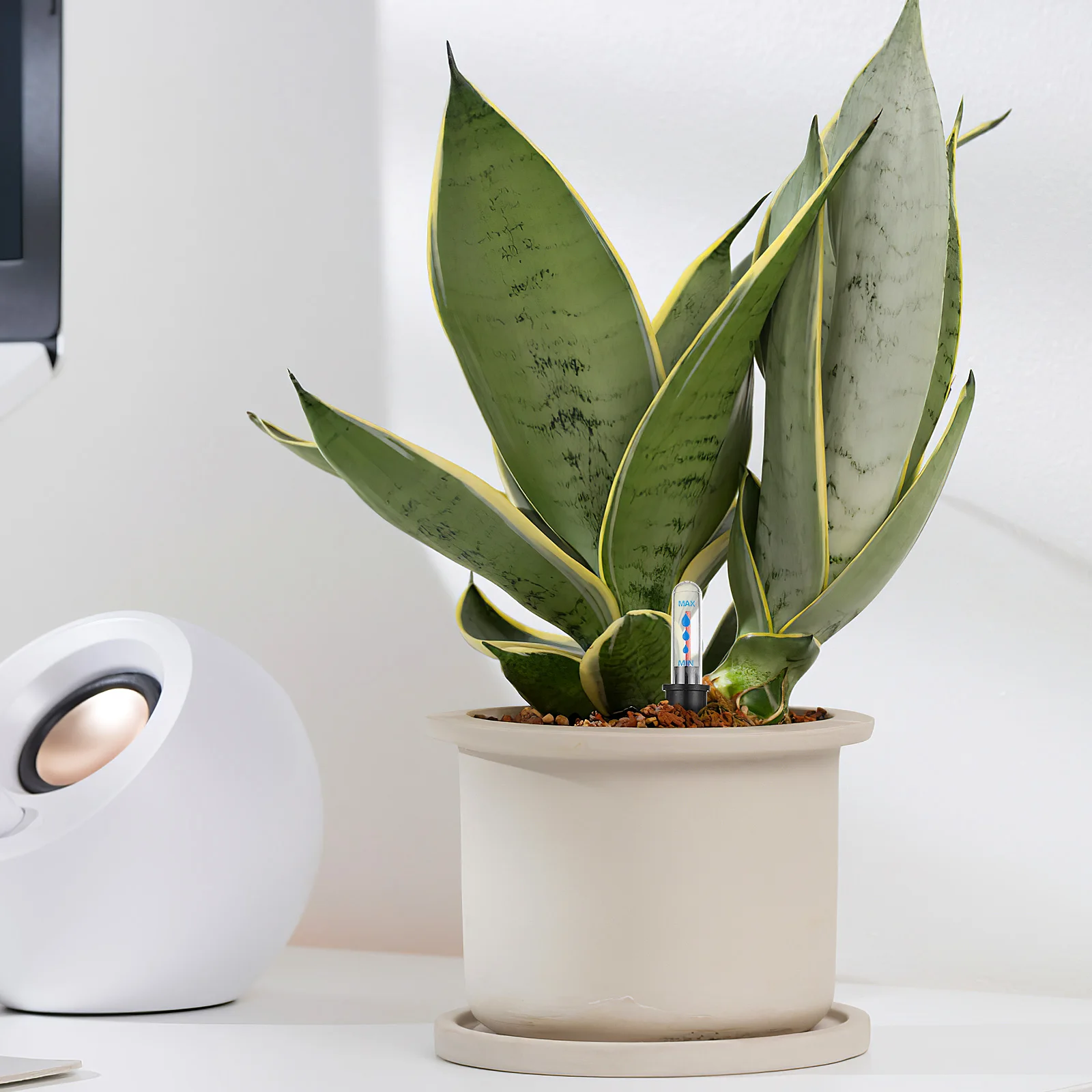 4개입 화분 수위 표시기 실내 식물용 토양 수분 모니터 설치 불필요 부유식 수위 표시기