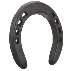Large Cast Iron Horseshoe Wall Hanging Metal Wall Sculpture Horseshoe Shaped Figurines Iron Wall Art Sculptures Horseshoe
