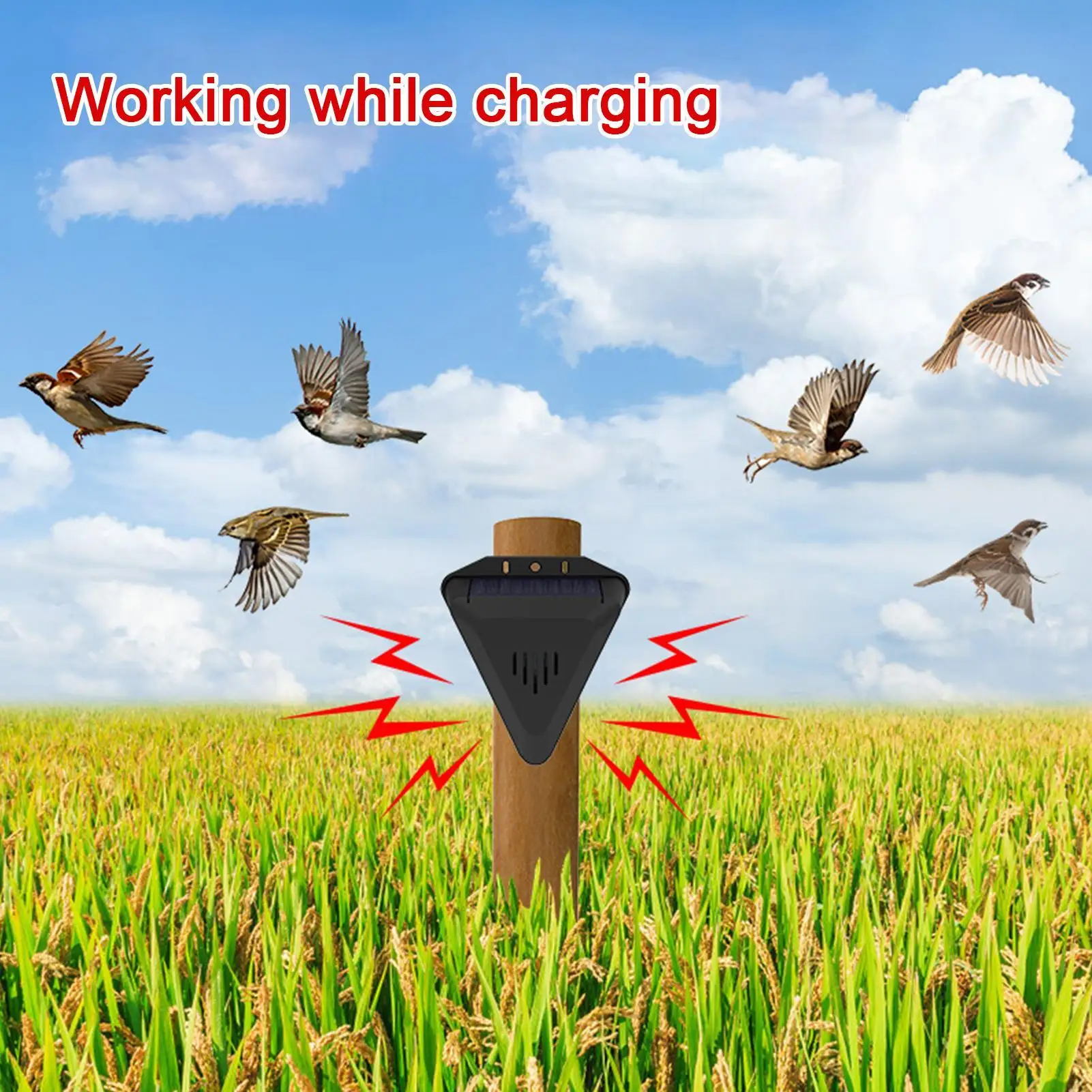 Solar Timer Bird Repeller Solar Animal Repellents With 13 Sound Waterproof Bird Repellent Alarm Outdoor Crop Orchard Protection