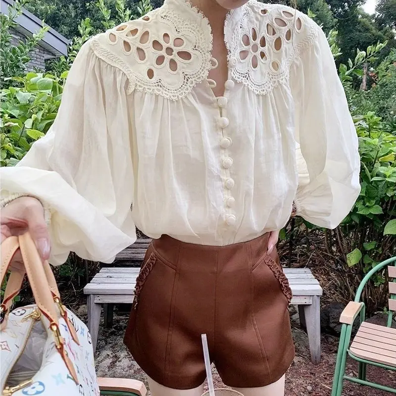 

French cut-out embroidery lantern sleeve shirt women's 2025 autumn new design loose slimming top