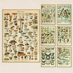 cuadros para salon decoración hogar cuadros Palaeobios Vintage-Póster botánico Retro, cuadro al óleo de insectos, mariposas, setas, lienzo, arte de pared, impresiones, cuadro de pared, decoración del hogar