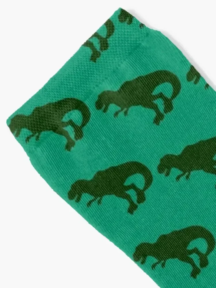 green t-rex goes rawr Socks cute hiking new year tennis Men Socks Luxury Brand Women's