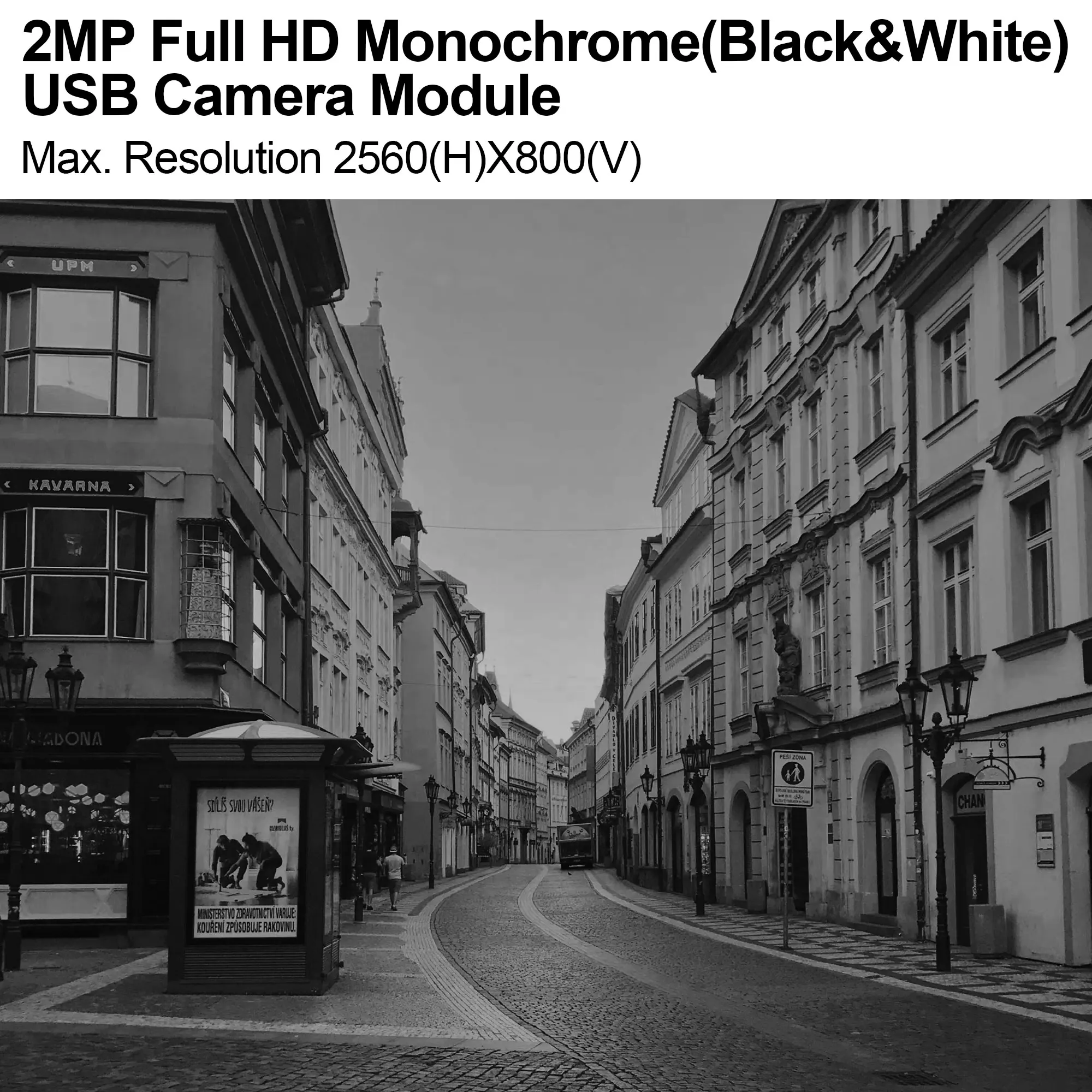 Shutter Monochrome Dual Lens USB Camera High Speed 2560*800 Mjpeg 120fps Wide Angle Stereo Camera for Depth Vision