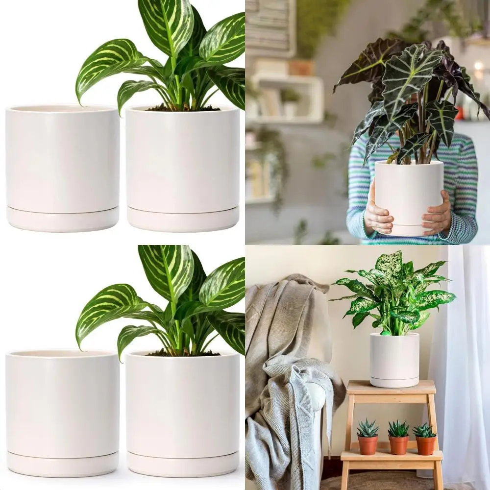 

Набор из 2 керамических горшков для растений диаметром 8,2 дюйма с дренажными отверстиями и поддонами