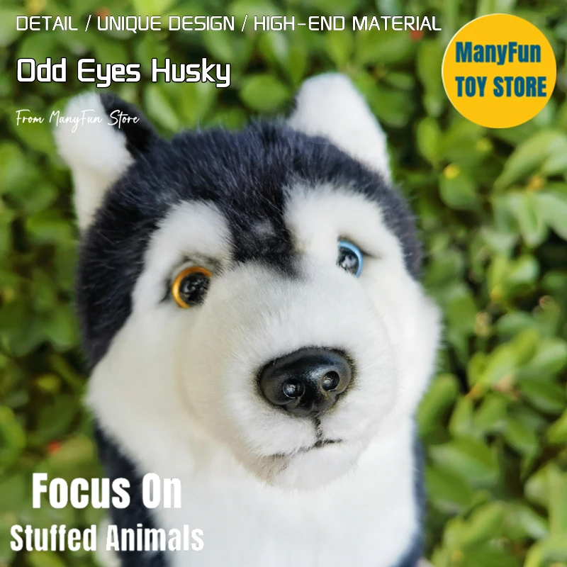 

Odd Eyes Husky Dog Plush Toy High Fidelity Eskimo Dog Plushie Dogs Peluche Lifelike Stuffed Animals Simulation Doll Kawai Toys