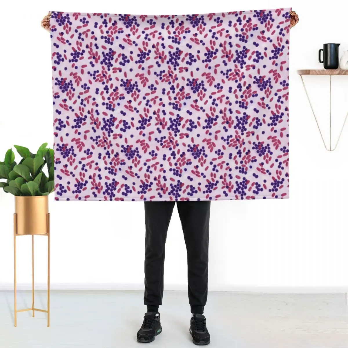 Gram-stain Throw Blanket Stuffeds Thins blankets ands Cute For Sofa Thin Luxury Thicken Blankets