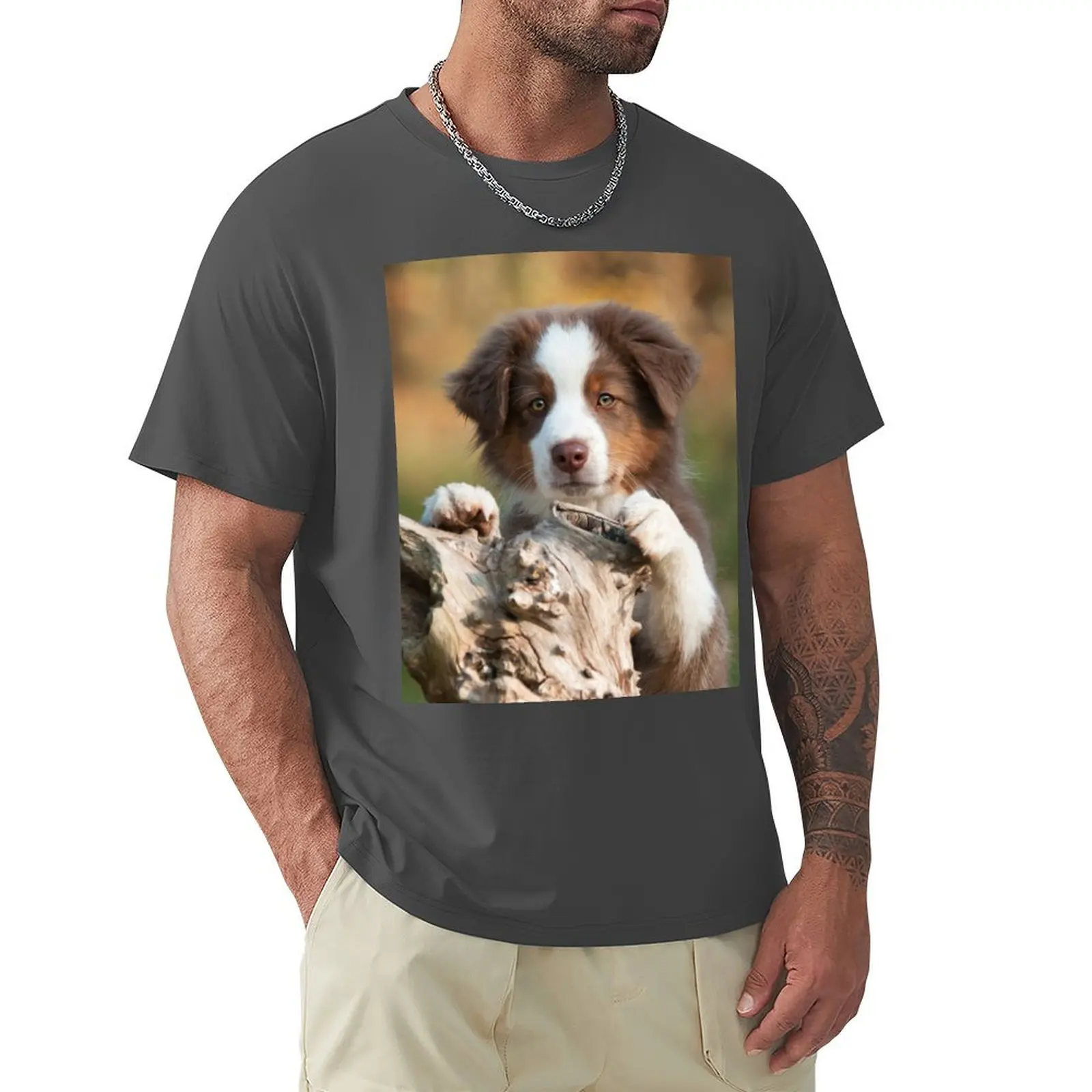 Curious Aussie Puppy T-Shirt funnys vintage T-shirts for men cotton