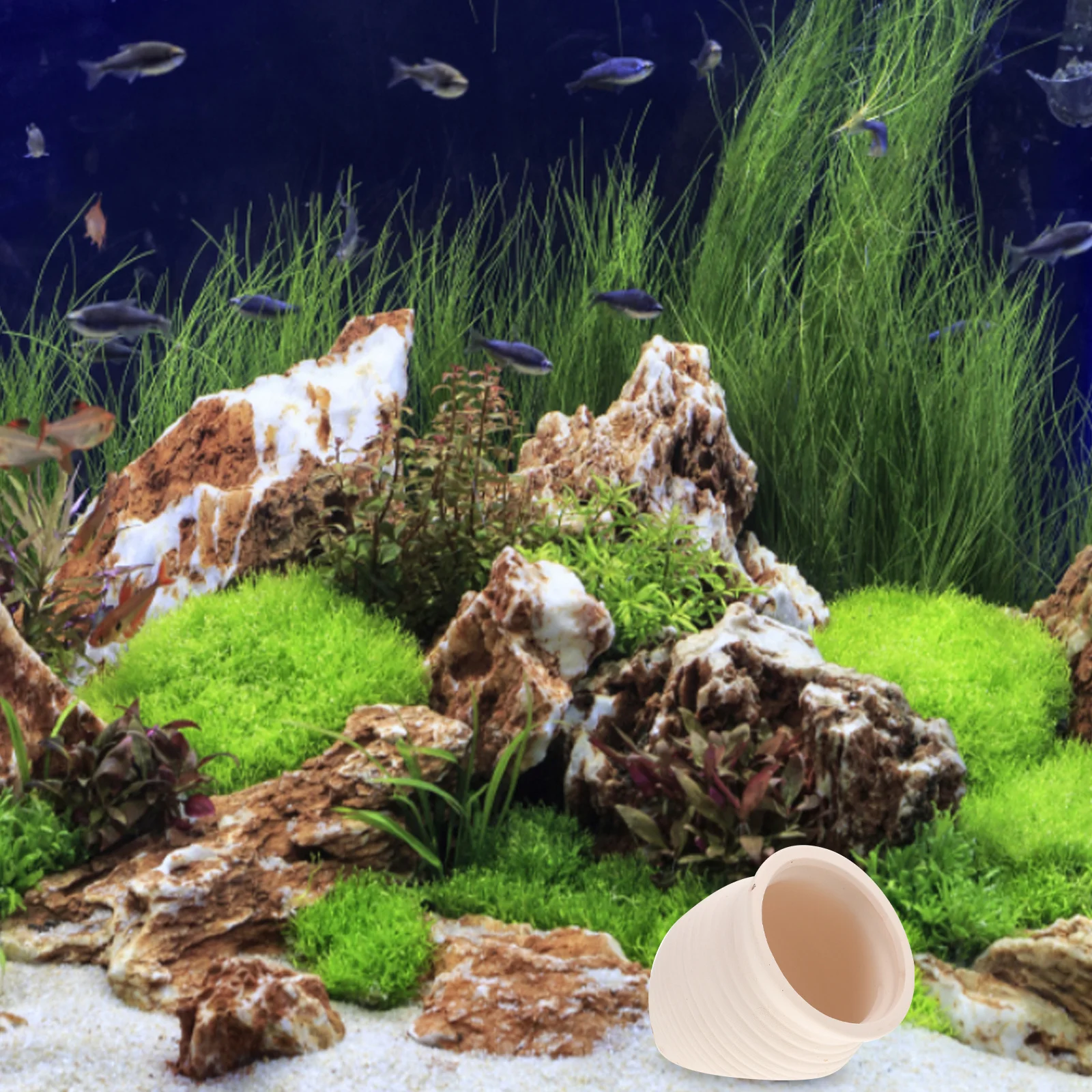 

Fish Tank Accessory Aquarium Hideout Decor Natural Color Vivid Scenery Aquarium Hideout Small Animals Hiding Cave