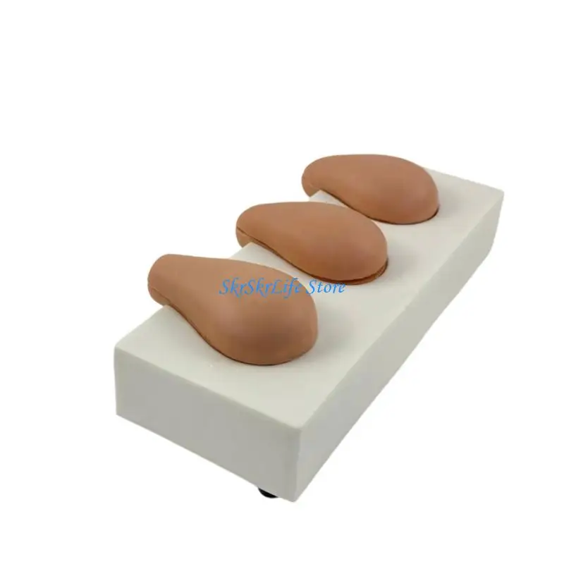 E65E Multifunctional PVC Female Reproductive System Model for Clinical Students