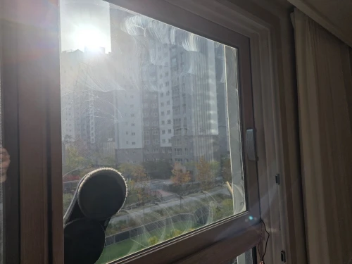 리뷰 사진