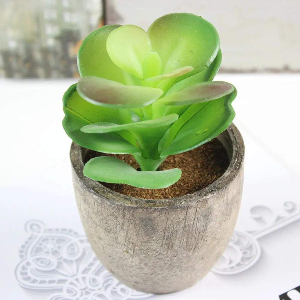 

Simulation Succulent Bonsai Small Decorative Plants Home Office Plastic Eco Friendly Lightweight Gifts