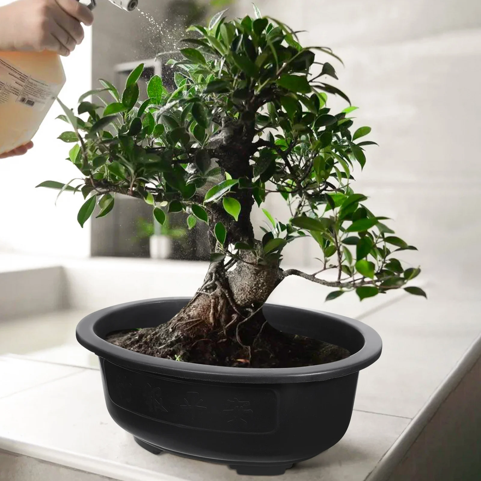 

2 шт., большой цветочный горшок, овальный пластиковый контейнер для посадки, садовый держатель для бонсай, многоразовые дренажные отверстия для дома и улицы, садоводства