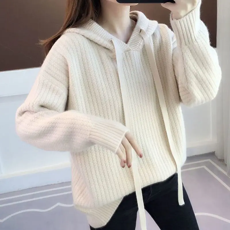 Harajuku Fashion Sweater Thick Hoodies Sweatshirt for Women Y2k Vintage Sport Sweat-shirt Dropshiping Designer Woman Hooded Tops