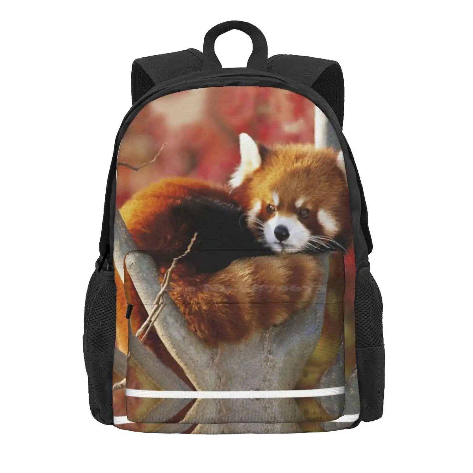 Red Panda Hot Sale Schoolbag Backpack Fashion Bags Red Panda Animals Nature