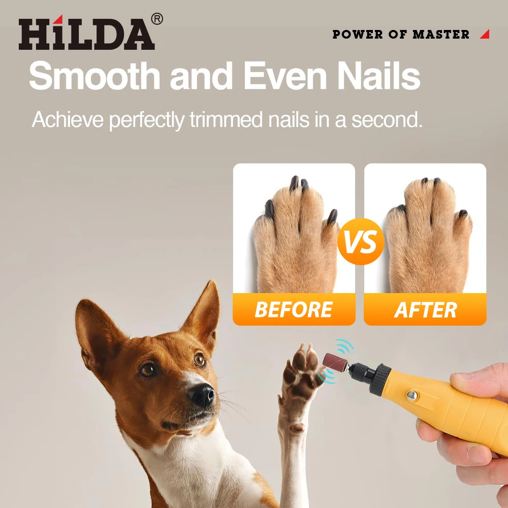 HILDA Electric Drill 3 Speed Mini Drill Tools Kit 3.6v Mini Grinding Machine Pet Nail Polishing Mini Engraver Pen Rotary Tool