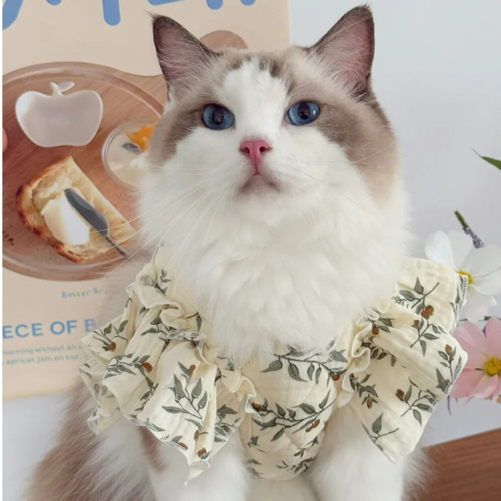 

Cat Harness with Leash Breathable Vest Chest Collars With Rope Small Dogs Adjustable Outdoor Walking Apparel Pet Dog Accessories