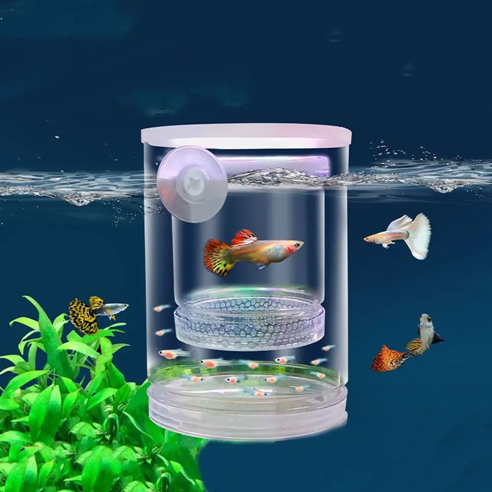 Plastic Suction Cup Floating Hatching Box Detachable Transparent Peacock Fish Breeding Box Ornamental Feeding