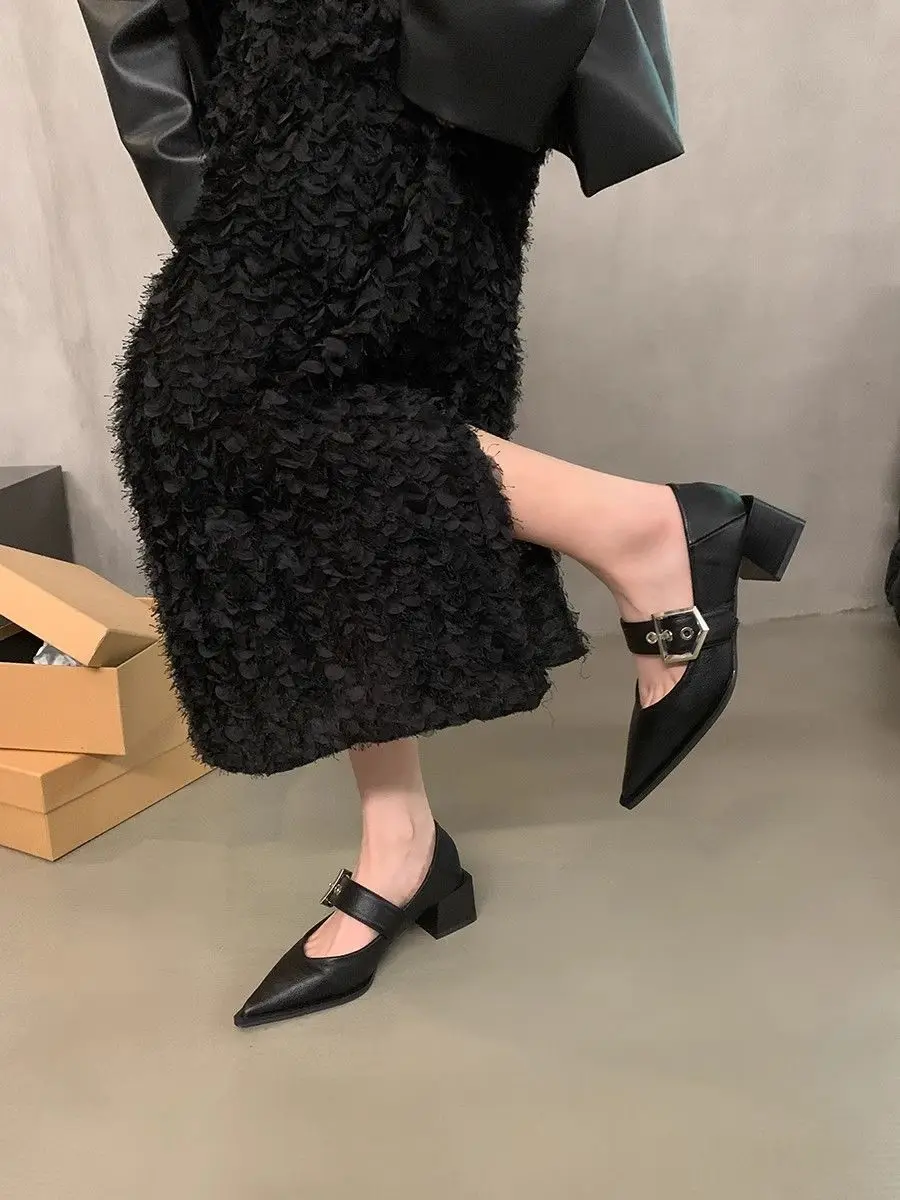 

Classic Mary Jane Shoes for Women Pointy Toe Retro French Heel British English Design 2026 Early Spring Style