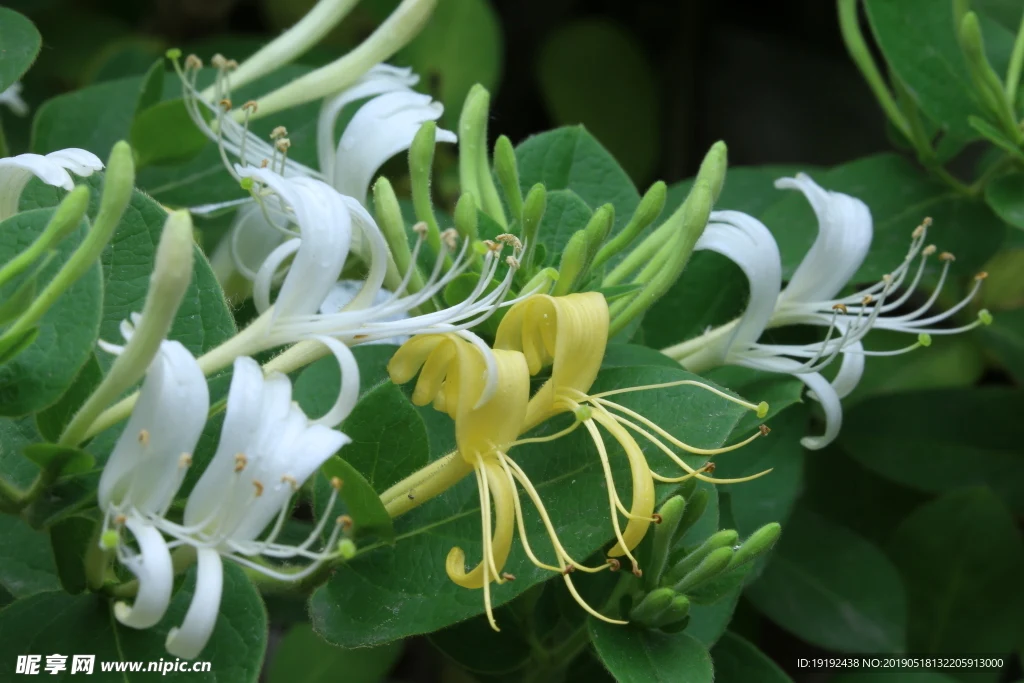 

Шины и диски с бедлоками 2.2 RC для радиоуправляемых краулеров 1/8: TRX4, Axial SCX10 II, RC4WD, CC01, Gen8