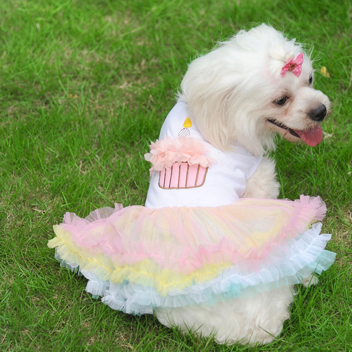

Cake Skirt Clothing Soft Cotton Dog Clothes Chihuahua Puppy Dress Pets Clothes Spring Summer Outdoor Pets Dog Dress