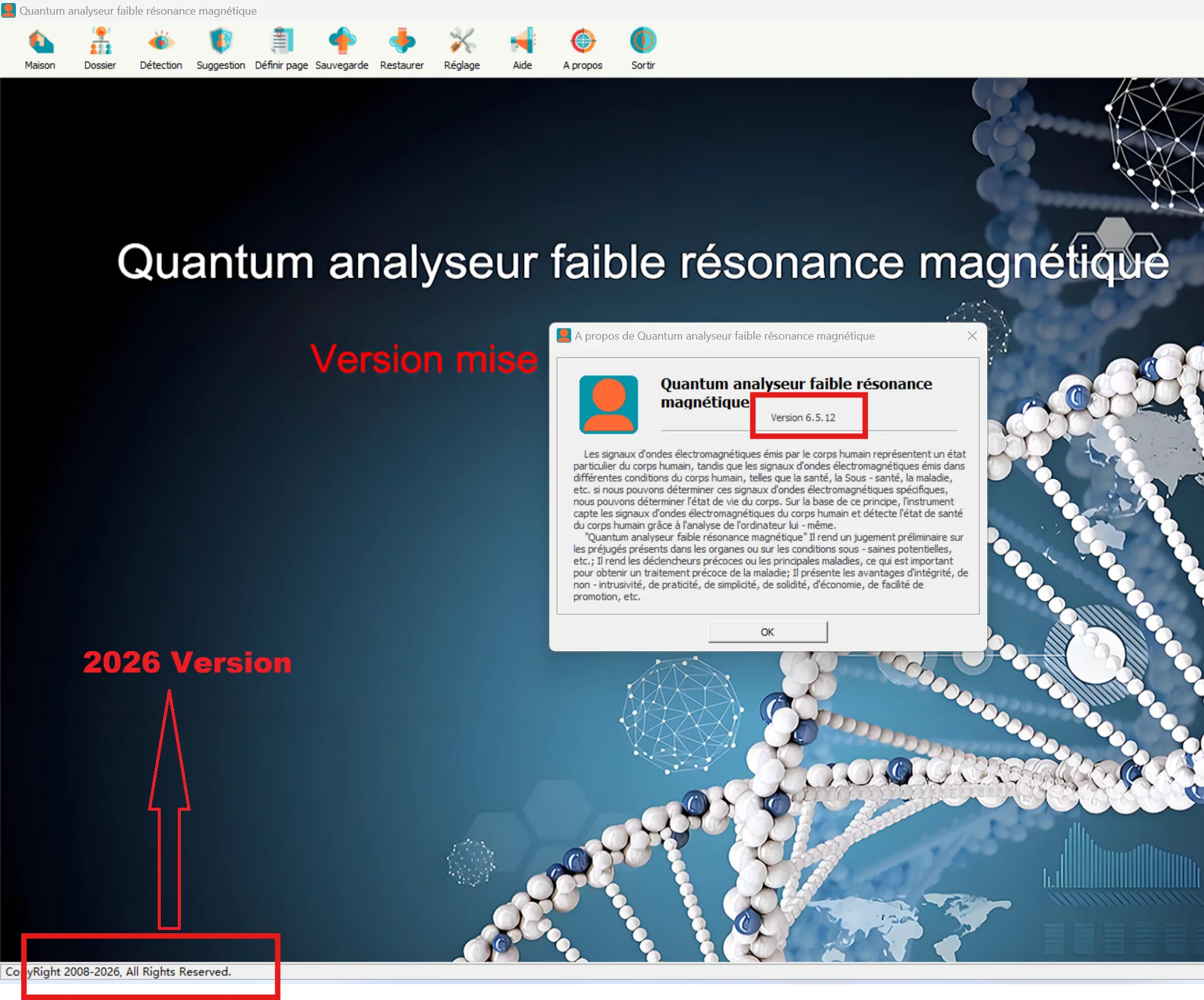2024 versione 6.3.36 Real 62 rapporti Quantum Magnetic Resonance Body Analyzer analisi della salute Bio Resonant Device Scanner NLS