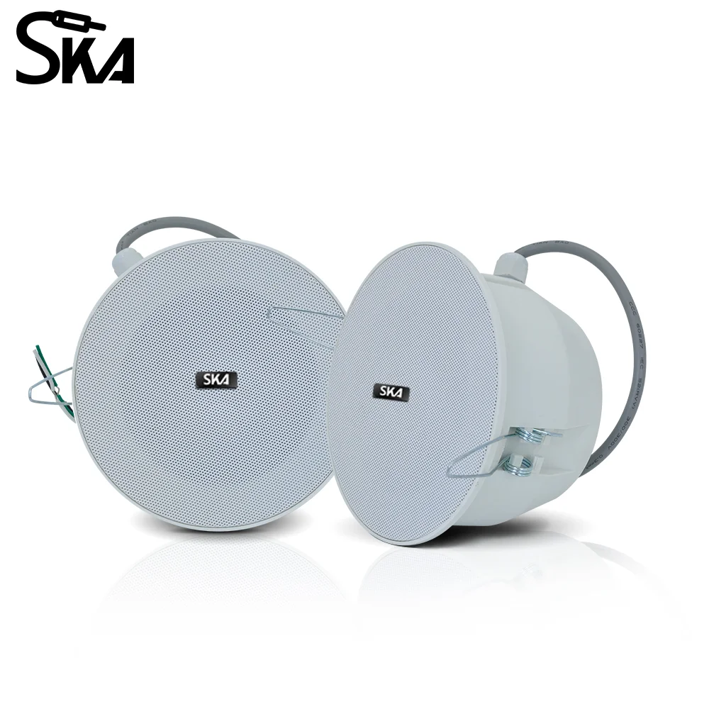 Waterproof Ceiling Speaker Mini 4inch Stereo 100V 6W Loudspeaker Public Broadcast System Audio for Outdoor Park Swimming pools