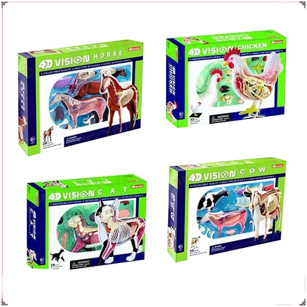 

4D MASTER модель дисплея анатомии животных съемный обучающий реквизит легко собрать декоративные украшения изысканные подарки Лидер продаж