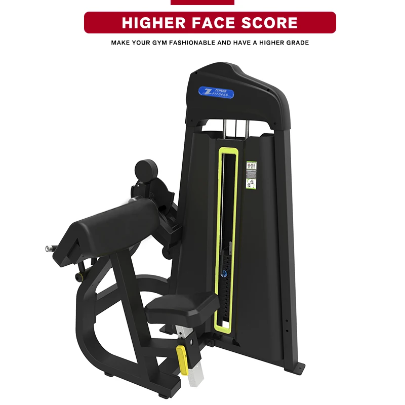 

Commercial Gym Equipment Pin Loaded Biceps Curl and Triceps