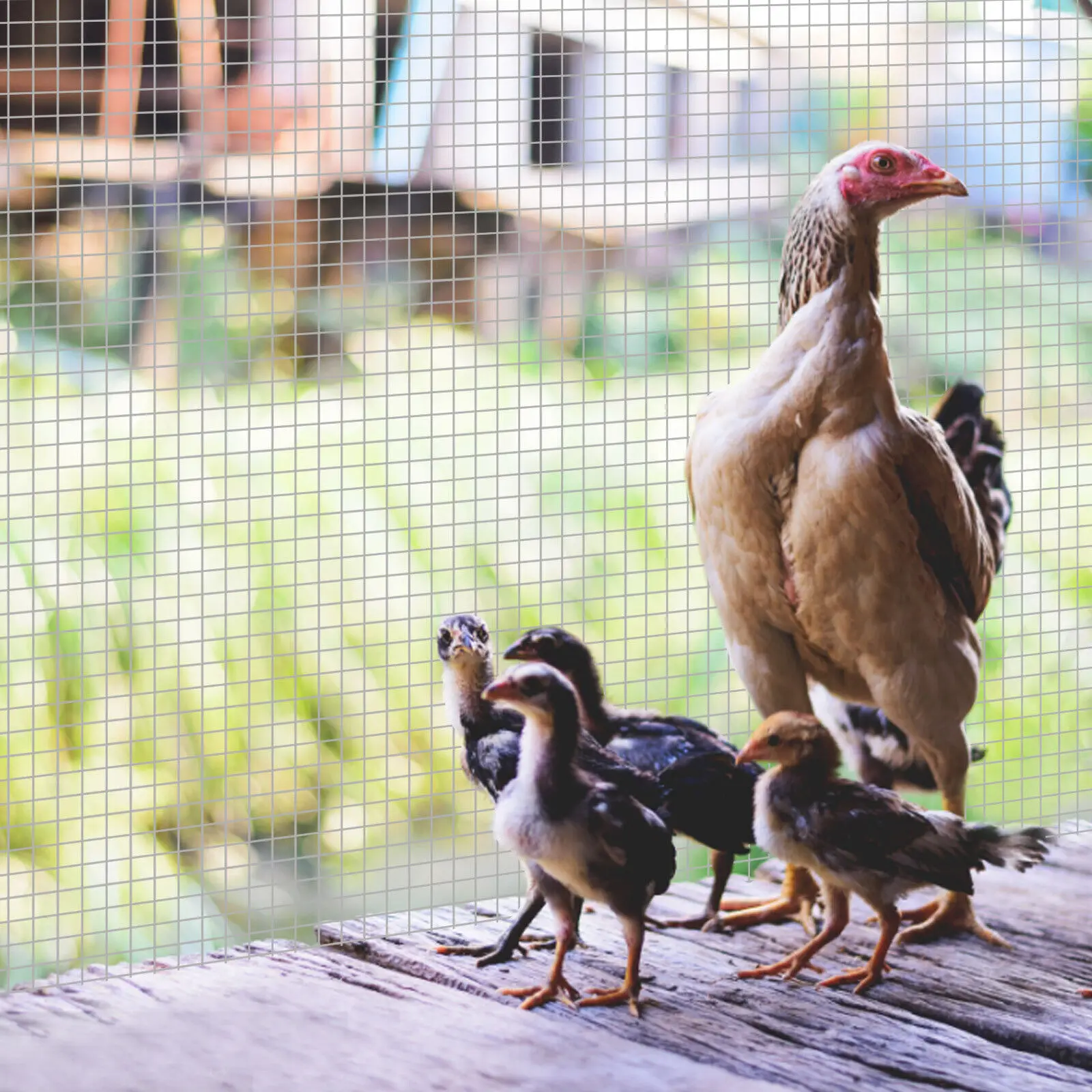 48in X 50ft 1/4 in Hardware Cloth Garden Chicken Fence Welded Metal Cage Wire Fence Mesh Roll US