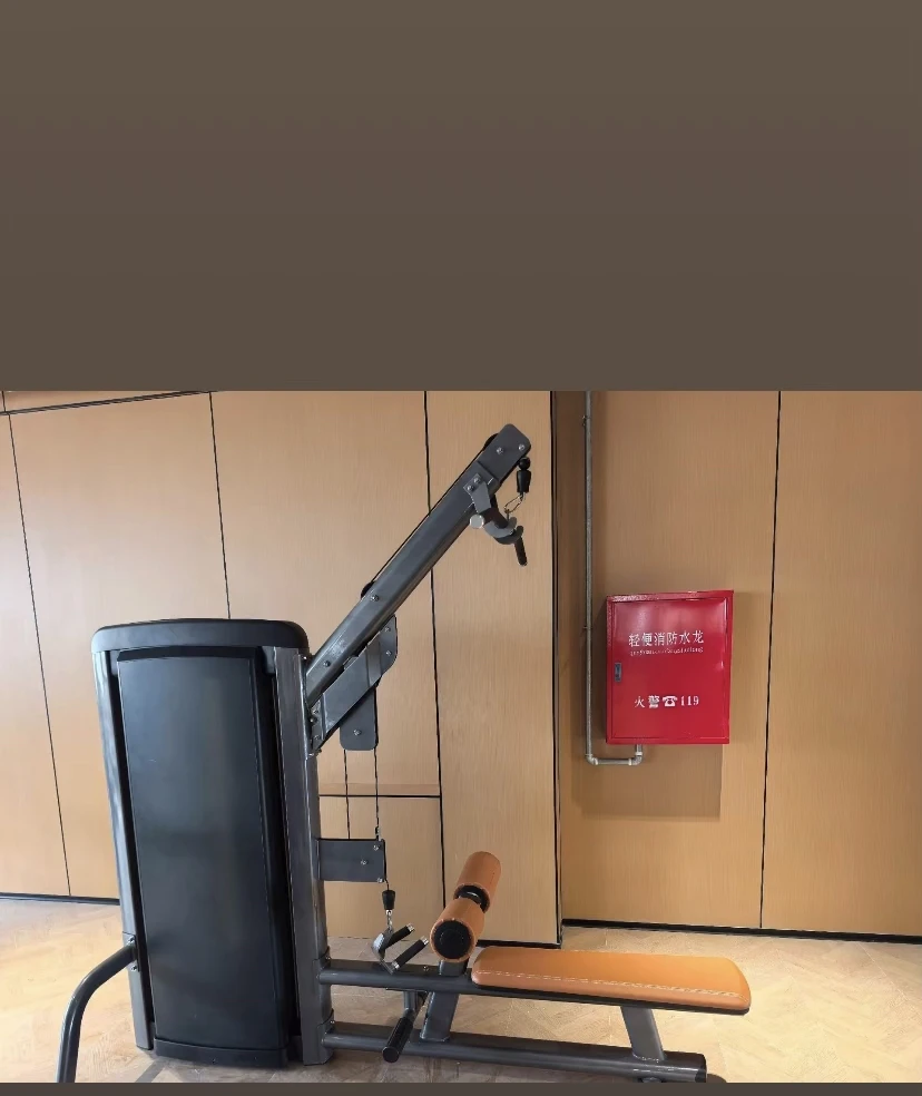 

Modern Style Steel ABS Gym Equipment Body Building Fitness Roman Chair Machine Back Extension Curl Function Leg Workout Trainer