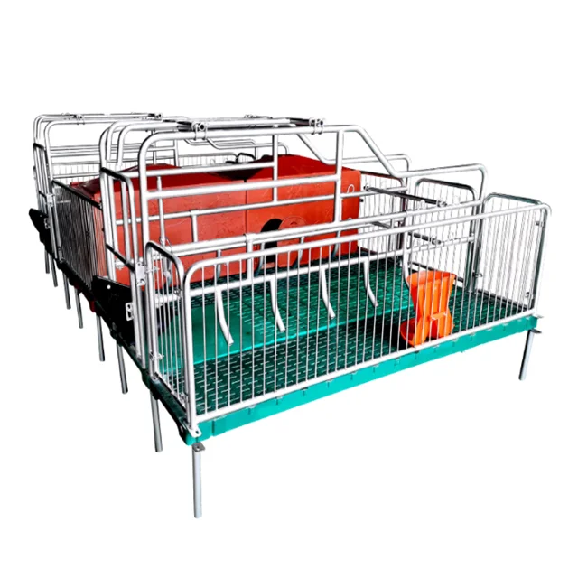 Pig House Farming Equipment Customized Galvanized Sow Farrowing Stall/ Farrowing Pen/Farrowing Cage
