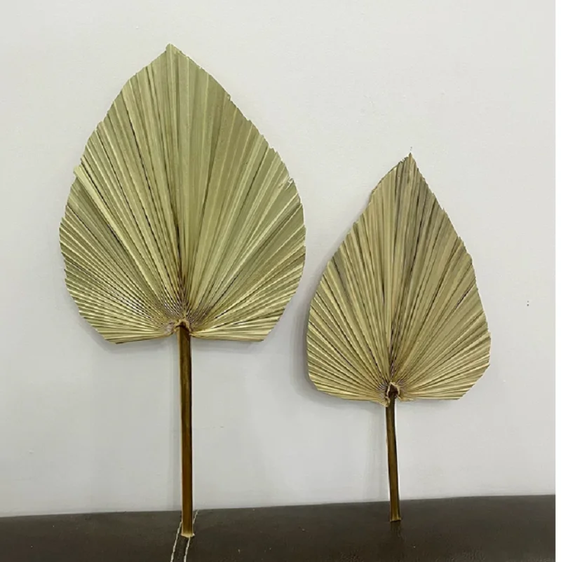 16PCS Natural Dried Palm Leave - Palm Leaf Dried review and price