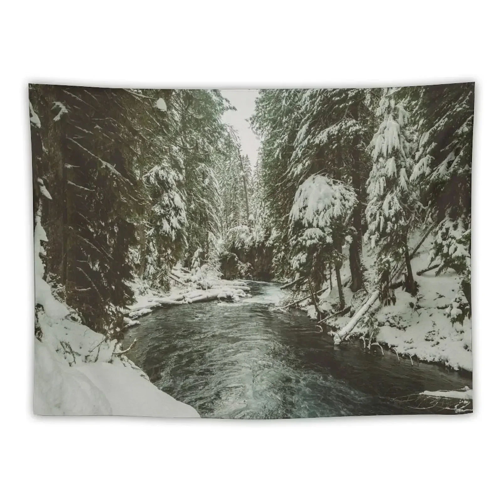 

Pacific Northwest Winter Forest River - Mountain Woods Photography Tapestry Bedroom Decor Aesthetic Home Decorators Tapestry
