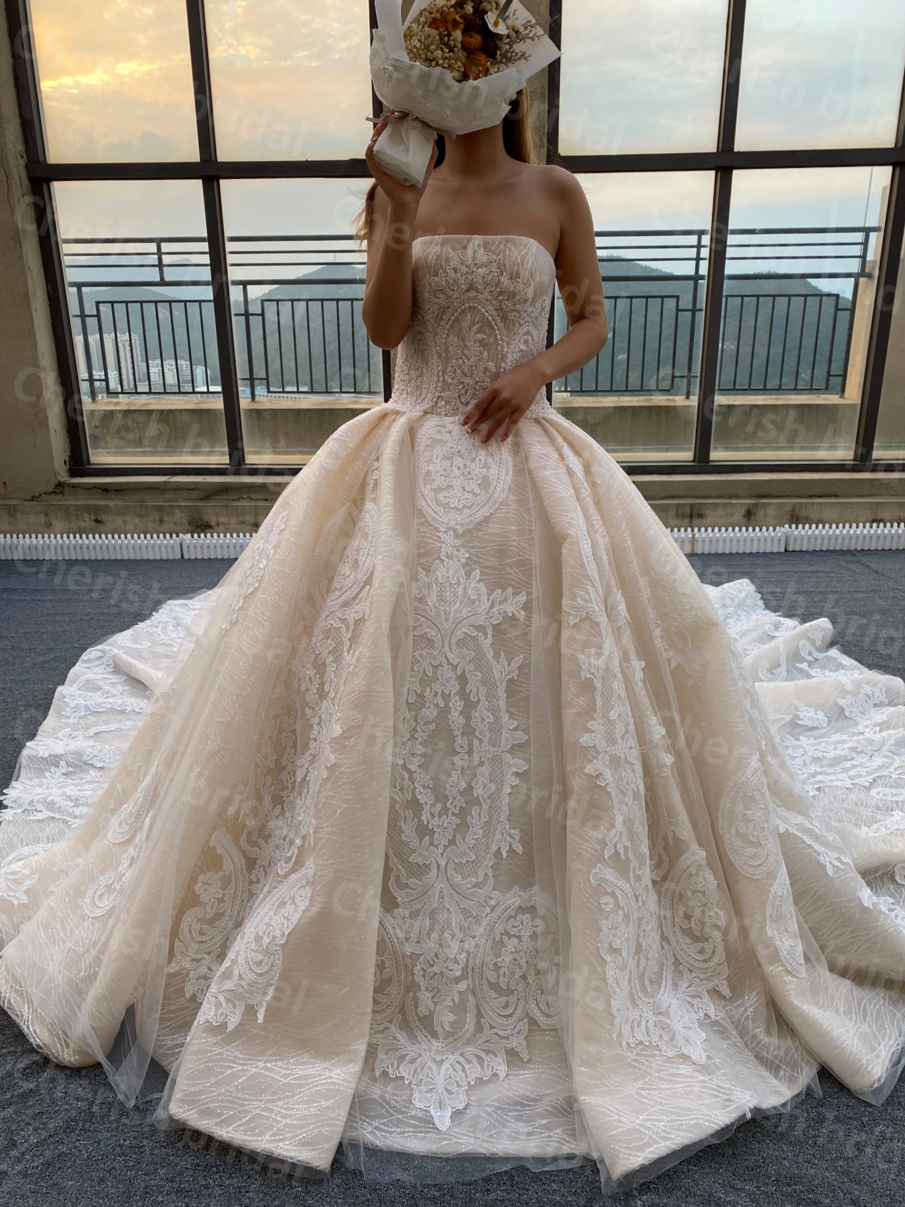 

C5094B Luxury Strapless Lace Beading Ball Gown Bridal Dress for Women Wedding Dress, Sleeveless Zipper Back Princess Bride Gown