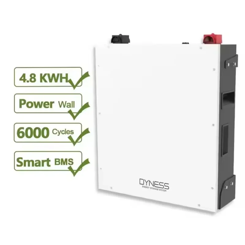 

EU Stock Dyness 48V/100ah Lifepo4 4.8kwh Cylindrical Lithium Ion Battery A48100 5.12kwh 48V 51.2V 100AH