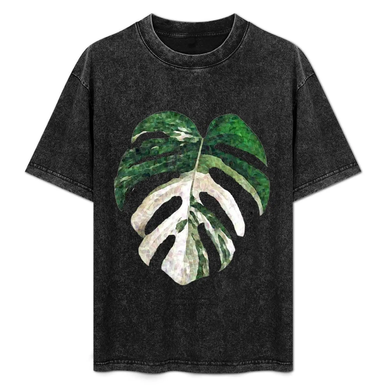 

Monstera Deliciosa Borsigiana Albo Variegata Leaf. T-Shirt Fashion Simple Casual Tee Shirt
