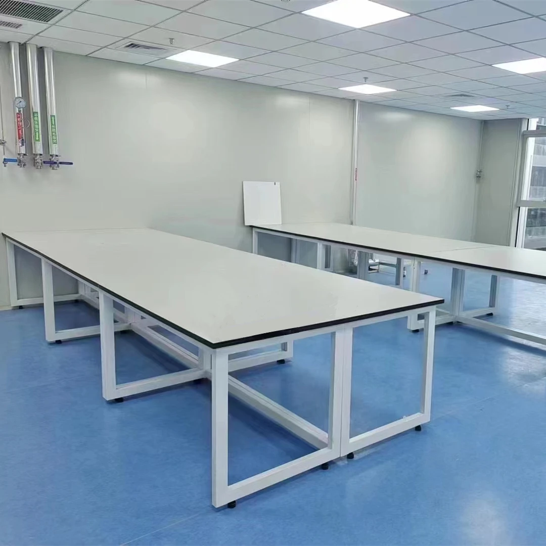 

School Hospital Scientific Research Institution Use High Quality Corrosion Resistant Simple Laboratory Steel Structure Bench