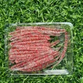 0009 30PCS 01