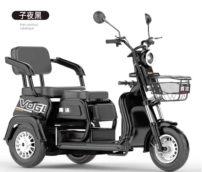 

Lithium Battery New Electric Tricycle 600W48V23A Household Small Pick-up and Drop-off Children and Women Battery Car Elderly