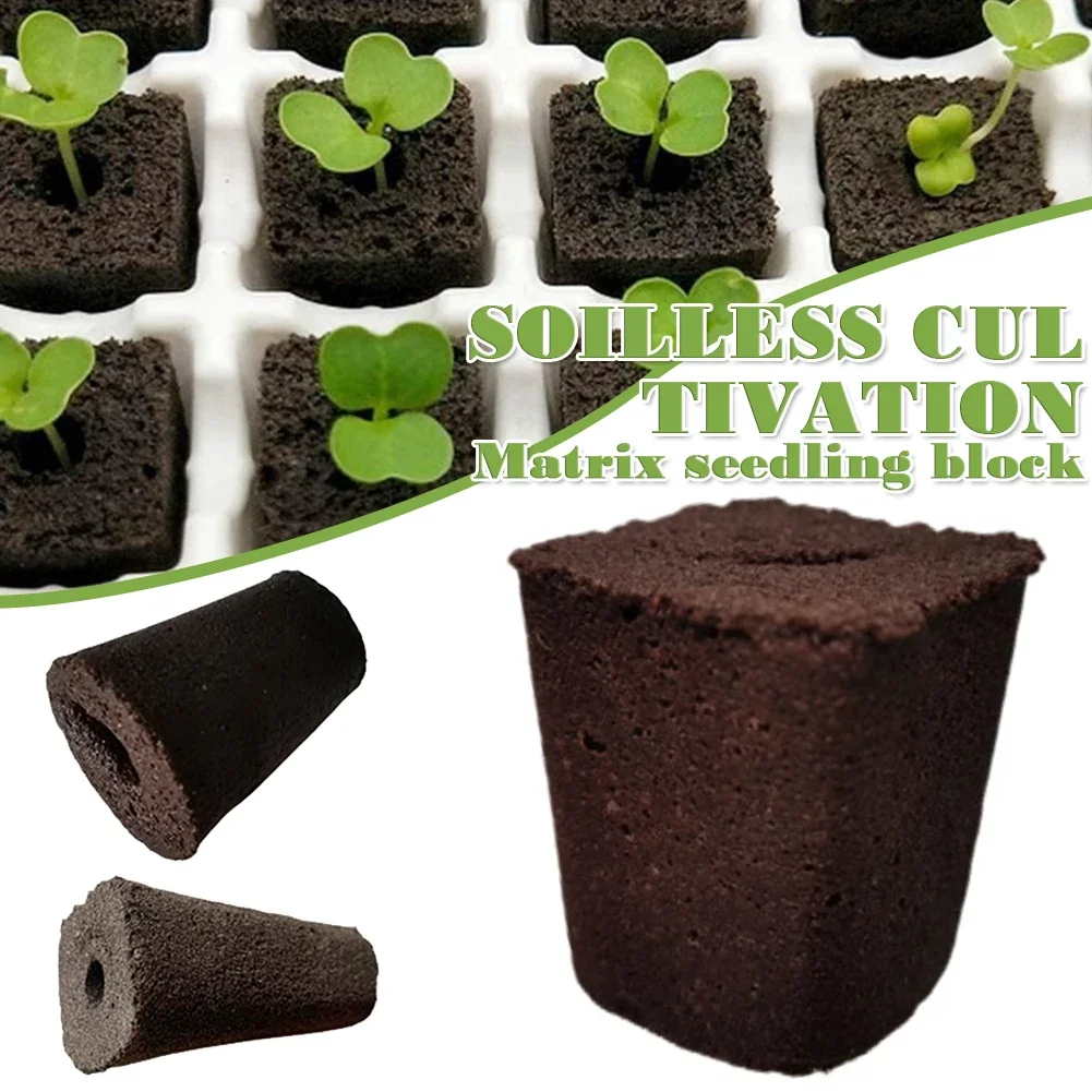 50pcs Growth Plugs for Soilless Cultivation Strong Water Absorption Sowing Cubes for Water Cultivation