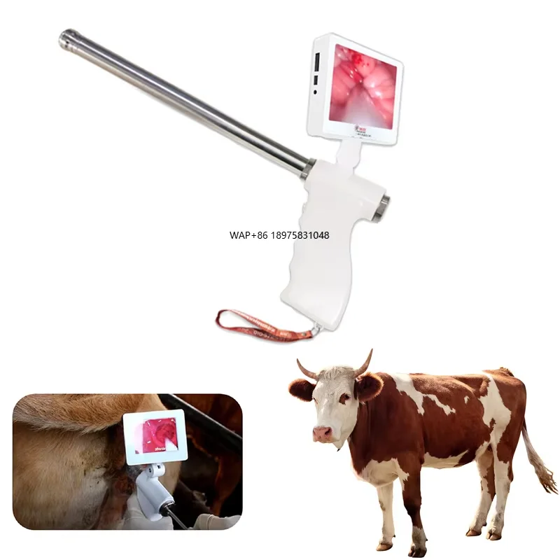

Visual Cow Pig Sheep Endoscope Semen Dairy Cow Rate Artificial Insemination Portable Insemination Equipment