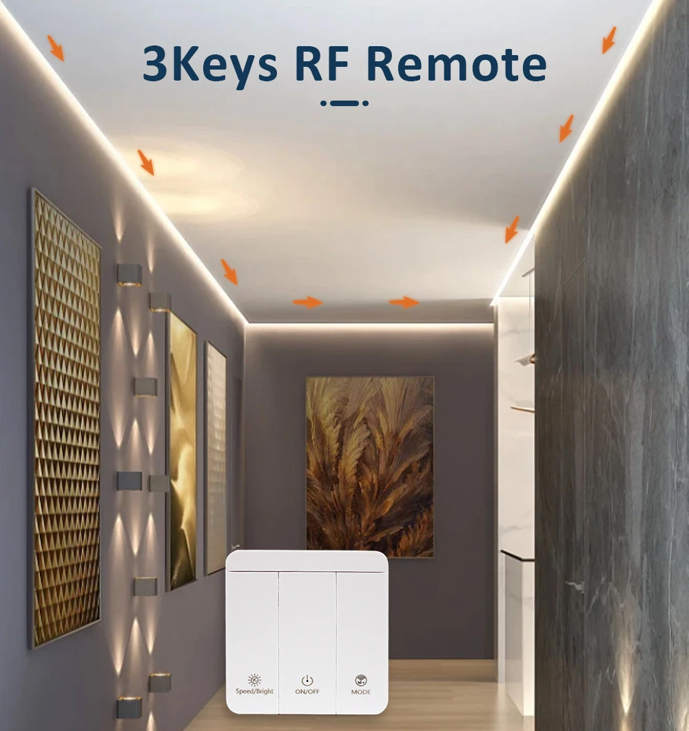 DC 24V WS2811 Running Water Flowing Sync LED Strip Light SMD2835 10mm Horse Race Pixel Addressable Flexible Linear Lamp for Hom